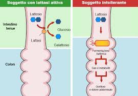 Breath Test Per Intolleranze Allergie