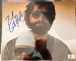 Foos Gone Wild Vinyl Record