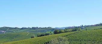 The area around alba incorporates barolo, barbaresco, and roero while the province of asti is known for dolcetto, barbera, and moscato. Piemont Region Guide Goparoo