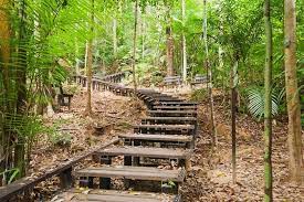 Book bus tickets from kuala lumpur to taman negara online from as low as rm 79.50 | check schedules and book tickets today at busonlineticket.com. Taman Negara National Park Kuala Lumpur Tickets Tours Book Now