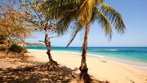 Things to do in dominica, caribbean: Dominica Warum Nur Kennt Kaum Jemand Dieses Karibik Paradies