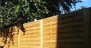 Grenzabstand Fur Pflanzen Baume Straucher Hecken Nachbarrecht