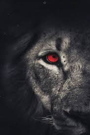 Aslan galatasaray resmi i̇ç i̇çe olan bir foto. Galatasaray Aslani Duvar Kagidi Phoneky Den Telefonunuza Bedava Indirin