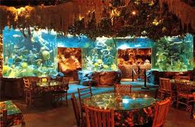 Pin Oleh Diane Swanson Di Room Aquarium Modern Tempat