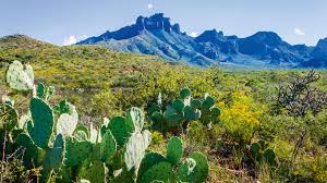 Big bend national park, located in texas about 240 miles southwest of the midland/odessa big bend national park offers panoramic views, hundreds of species of wildlife desert vegetation covers most of the park's terrain; On The Road San Antonio To Big Bend National Park