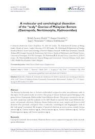 Maybe you would like to learn more about one of these? Pdf A Molecular And Conchological Dissection Of The Scaly Georissa Of Malaysian Borneo Gastropoda Neritimorpha Hydrocenidae