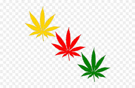Cartoon style cannabis leaf on yellow background. Weed Green White And Blue Png Icons Marijuana Leaf Clipart Transparent Background 5199662 Pinclipart