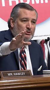 Sens. Ted Cruz (R-TX) and Amy Klobuchar (D-MN) clashed Wednesday over  nationwide injunctions and the separation of powers.