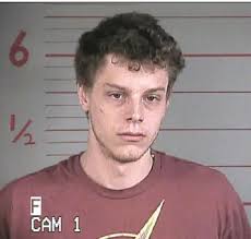 Geneseo man sentenced after 2024 stabbing