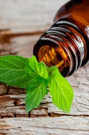 Maybe you would like to learn more about one of these? 8 Natural And Home Remedies For Itching