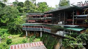 Mula mula ingatkan sagu tapi bukan. Apa Yang Menarik Di Bukit Bendera Pulau Pinang Aktiviti Wajib Buat