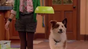 Dog With A Blog Tv Series 2012 2015 Imdb