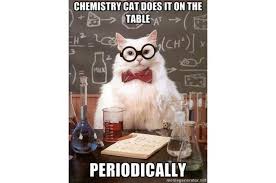 The Best Of The Chemistry Cat Meme Chemistry Cat Science Cat Cat Memes
