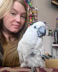 🎶 “Say Geronimo! Say Geronimo! Say Geronimo!” 🎶 Friends… He knows his own  song!! 💚 #rmar #rescue #parrot #cockatoo