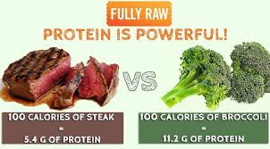 vegetable vs meat protein google search vegetable