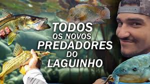 TODOS OS NOVOS PEIXES DO MINI LAGO DOS PREDADORES!