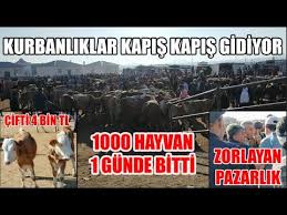Ankara Cubuk 2021 Hayvan Pazari Fiyatlari Youtube