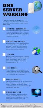 All You Need To Know About Working Of Dns Server Infographic In 2020 Dns Infographic Server