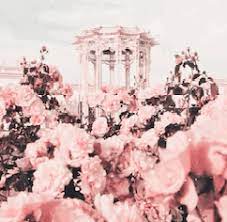 Check out this fantastic collection of pink flowers aesthetic wallpapers, with 62 pink flowers aesthetic background images for your desktop, . Pink Flower Aesthetic For Roblox Userstyles Org