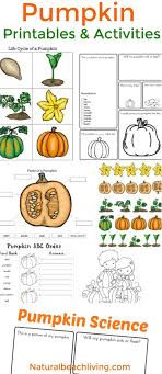 Pin On Montessori Inspired Activities And Ideas