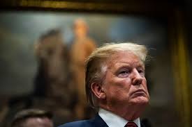 Insurance prelicensing courses are provided by a.d. How To Become An Insurance Broker In Ny All Information About Quality Life