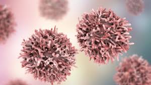 At more advanced stages, survival rates are lower, treatments are more. Head And Neck Cancer Organoids Could Personalize Chemotherapy