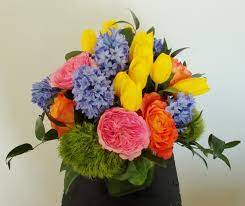 We did not find results for: Minott S Flowers Minottsflowers Twitter
