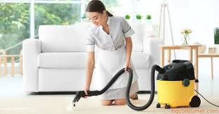 best carpet cleaner for old pet urine