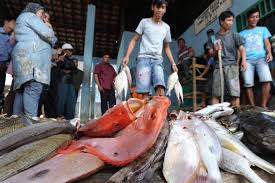 April 16, 2018 at 11:30 pm. Harga Ikan Rohu Sekilo Harga Ikan Kembung Naik Jadi Rp 35 Ribu Kg Ini Penyebabnya