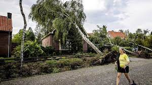 Je bouwt een relatie op met je dieren en dan tref je ze zo aan, dat doet … drie bosvarkens landgoed zuylestein omgekomen bij. Vooral Flinke Stormschade In Leersum En Tiel 8 Mensen Gewond Rtl Nieuws