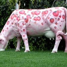 Inek is a polish variant transcription of the name erwin (czech, dutch, english, and german). Inek On Twitter Ah Istanbulll