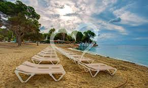 Fungsi dari return tidak jauh dengan arti dari istilah. Club Magic Life Cala Pada Auf Ibiza