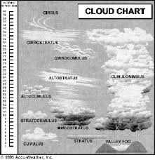 Cloud Type Charts