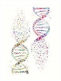 Dna Watercolor Art Dna Double Helix Genetic Art Print By Erzebetth In 2021 Biology Art Dna Drawing Dna Tattoo