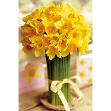 Maybe you would like to learn more about one of these? Florile Care Fac Primavara Mai Frumoasa