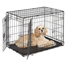 Midwest Homes For Pets Dog Crate Icrate Single Door Double Door Folding Metal Dog Crates Full Dog Crate Medium Dog Cage Dog Breeds Medium