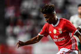 Benfica'nın dünya futboluna sunduğu gedson, büyük umutlarla transfer olduğu tottenham'da bekleneni veremedi. Gedson Fernandes To Tottenham Transfer Latest What We Know So Far London Evening Standard Evening Standard