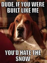 Copper Basset Hound Funny Dog Jokes Basset Hound Dog