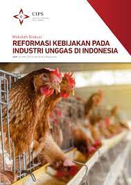 Peternak ayam lokal di indonesia sudah. Industri Peternakan Ayam Di Malaysia 1 Industri Ayam Merupakan Industri Yang Besar Dijalankan Di Malaysia