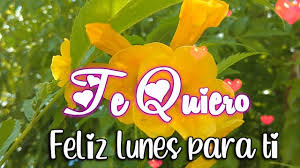 Iniciar uma nova semana sempre nos traz a sensação de mais um recomeço, mais uma oportunidade de alcançar o sucesso, mais uma chance de ser feliz. Feliz Lunes Mi Amor Te Deseo Un Bonito Inicio De Semana Este Mensaje De Amor Es Para Ti Youtube