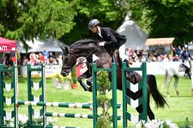 Maybe you would like to learn more about one of these? Leistungssport Para Equestrian Dkthr