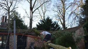 Hondeghem Un Arbre Est Tombe Sur L Estaminet De L Ancienne Maison Commune La Voix Du Nord