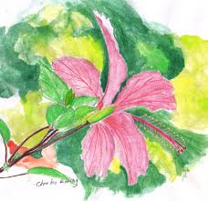 What's new in painter essentials 8. Raja Ampat Hibiscus Flower In Watercolor