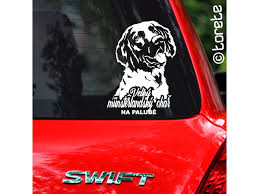 Image result for Velký münsterlandský ohař