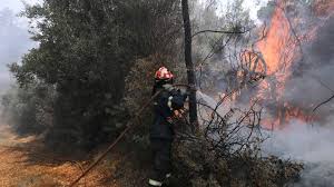 Οριοθετήθηκε η πυρκαγιά στα καλάβρυτα. Pyrkagia Se Dasikh Ektash Sthn Perioxh Agnantio Boiwtias Cnn Gr