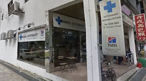 10, jalan dataran larkin 2, taman dataran larkin, 80350 johor bahru. Vet Nurse Resigned From Clinic Returned To Steal