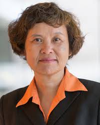 IEEE CSS Distinguished Member Award