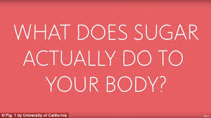 Image result for sugar and the body