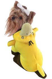 Yellow Cute Psyduck Pet Dog Costume Dog Costume Diy Pet Costumes Pet Costumes