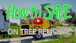 It's straight forward the complexity and logistics that will determine what you will ultimately pay in the end. Tree Removal Cost 2021 Guide Prices To Cut Down Trees By Size